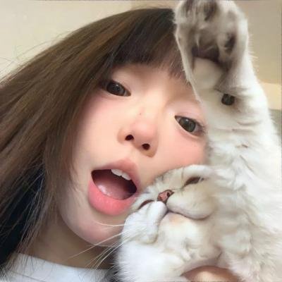 仙蒂奇缘